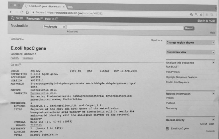 Genbank entry LOCUS, DEFINITION, ACCESSION and VERSION