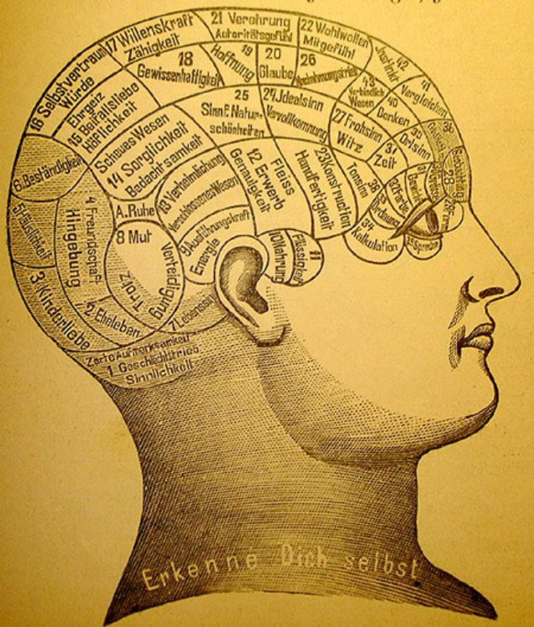 A profile illustration of a human head with sections marked out ad labeled