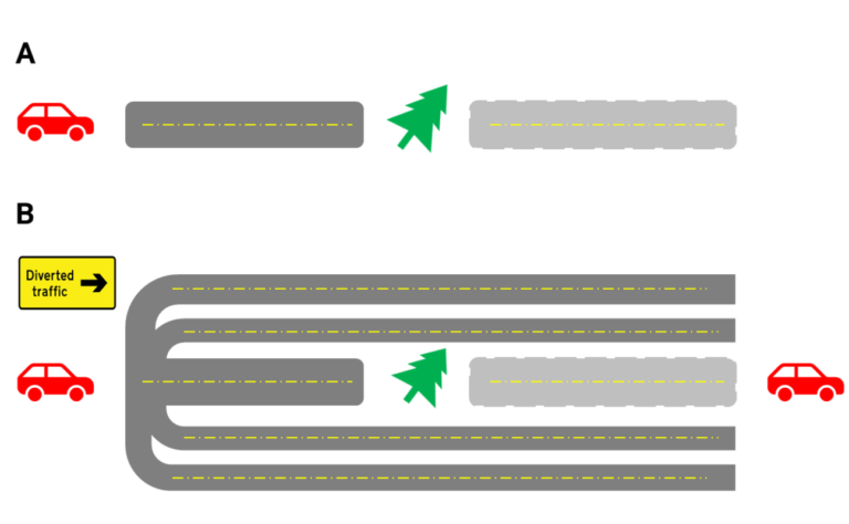 analogy of cognitive reserve diagram showing car with multiple roads to travel
