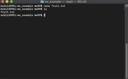 screenshot of the ls command typed into the command line