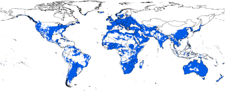 An illustrated map of the world with parts of it shaded in blue to highlight current suitable conditions for bluetongue virus.
