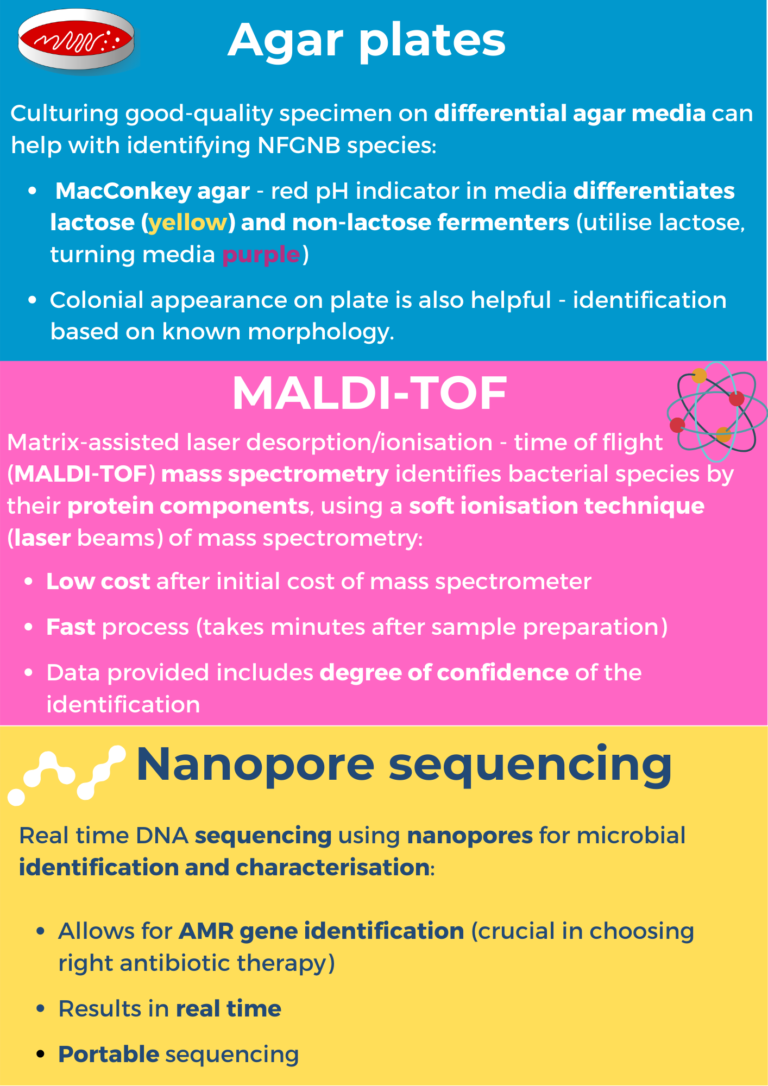 Common techniques for NFGNB detection and identification: agar plates with differential agar media; MALDI-TOF mass spectrometry, using ionisation to identify NFGNB based on their protein components; nanopore sequencing, a form of real time DNA sequencing using nanopores for microbial identification and characterisation