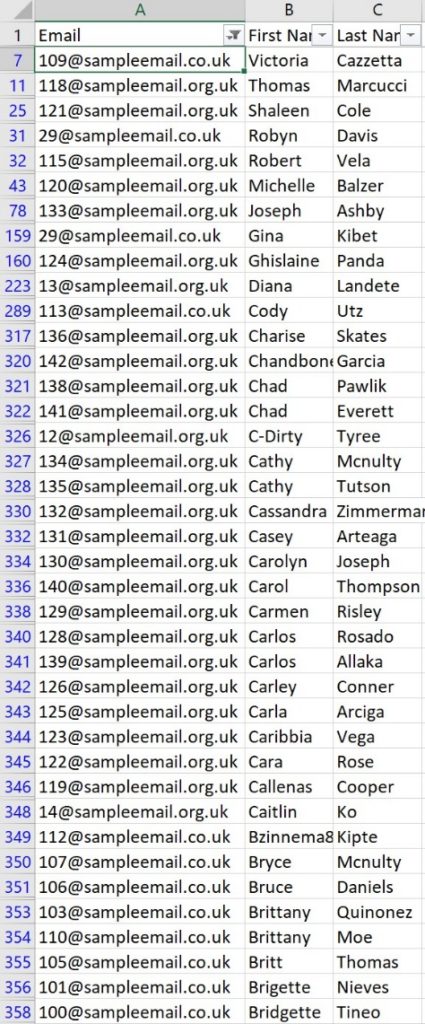 Data Organised in Excel