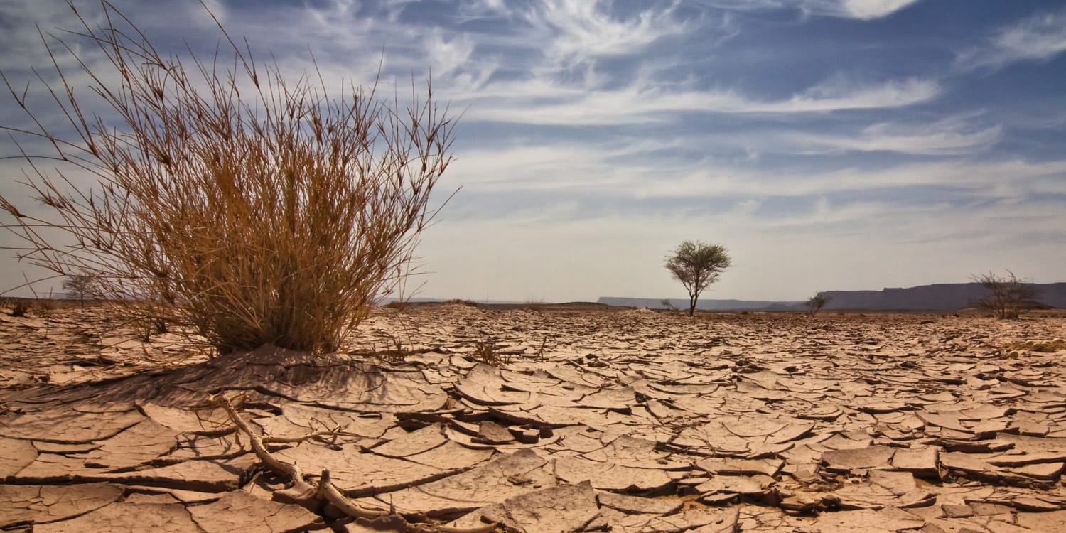 What Are The Impacts Of Climate Change In Nigeria Futurelearn