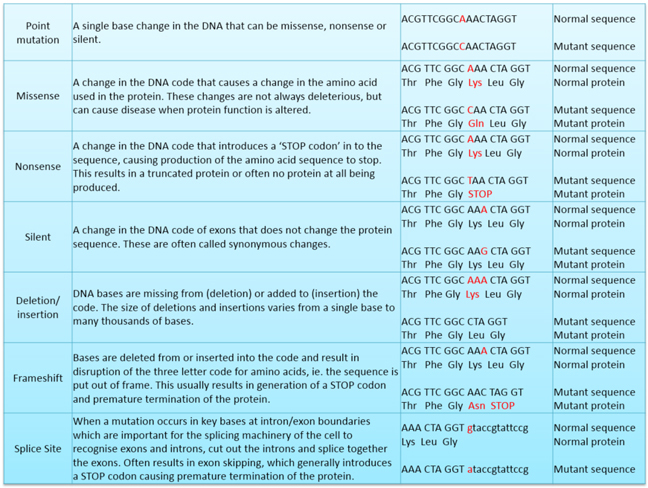 Main types of genetic mutation that cause monogenic disease