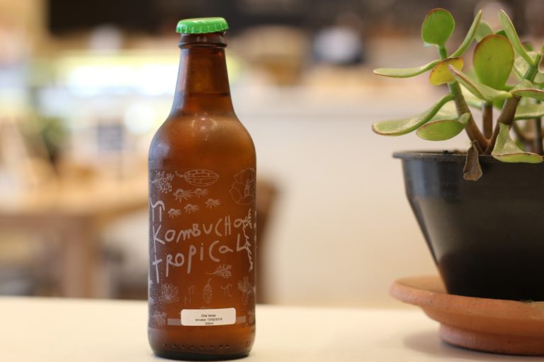 brown glass bottle of Kombucha standing on a table next to a potted plant