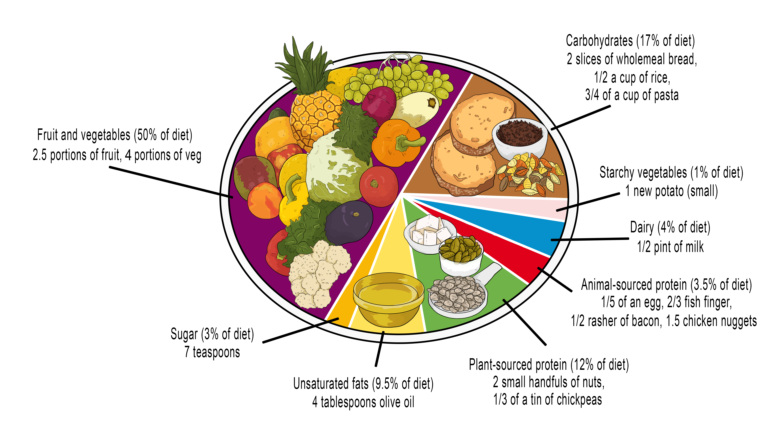 An infographic showing a healthy plate broken down into the food types as recommended by the planetary health diet. 50% is fruit and vegetables, 17% carbohydrate, 12% plant sourced protein, 9.5% unsaturated fats, 4% dairy, 3.5% animal sourced protein, 3% sugar, and 1% starchy vegetables
