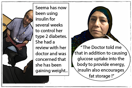 Seema has review with doctor after being on insulin for a few weeks as concerned about weight. The caption reads "Seema has now been using insulin for several weeks to control her type 2 diabetes. She had a review with her doctor and was concerned that she has been gaining weight." Seems is pictured on the right saying "The Doctor told me that in addition to causing glucose uptake into the body to provide energy, insulin also encourages fat storage!".