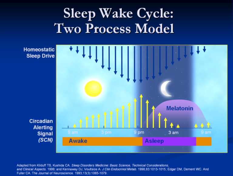 image depicting sleep wake process model