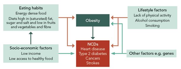 Nutritional Functions And Health Effects Of Consuming Excess Refined Sugar Salt And Unhealthy Fats 