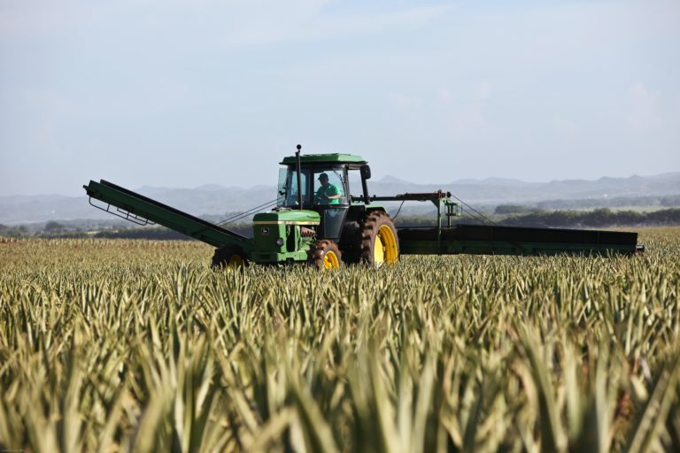 Tractor in a crop field