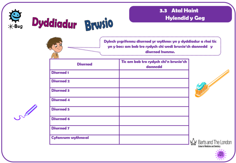 Example table from brushing diary activity