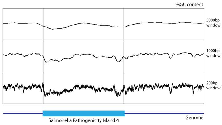 A three panel graphical representation of GC content calculated for three different window sizes, with the smaller window size at the top producing a spikier profile and the larger window size at the bottom producing a smoother plot