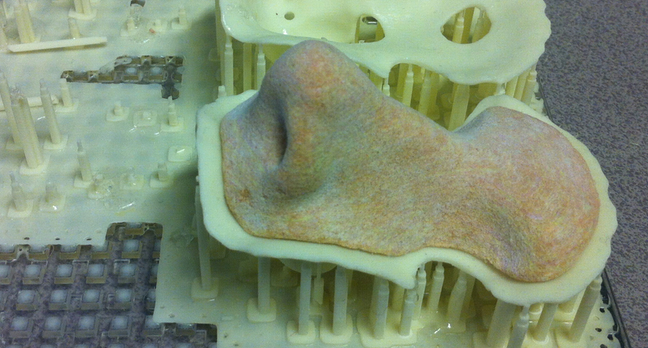 3D Printed Nose