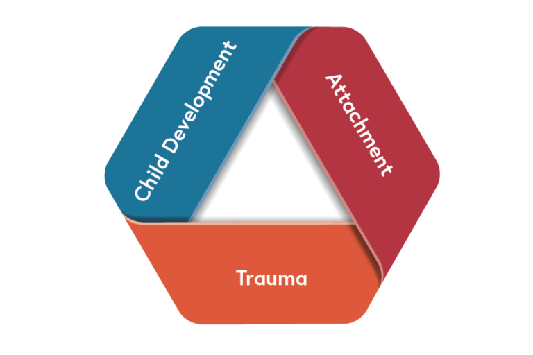 Child development, attachment, trauma cycle