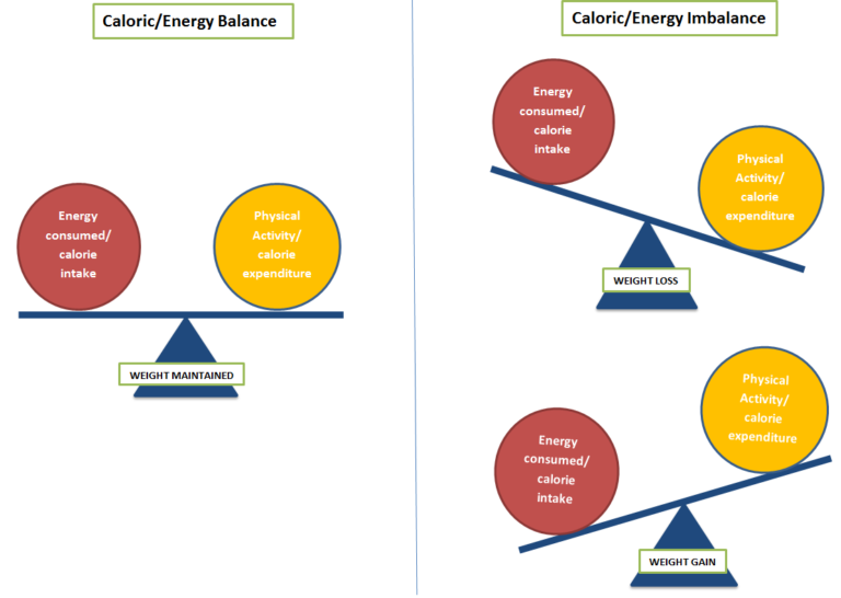 image showing how caloric balance is achieved when calorie intake and physical activity levels are equal, and calorie imbalance refers to when energy consumed is more (weight loss) or less (weight gain) than physical activity levels