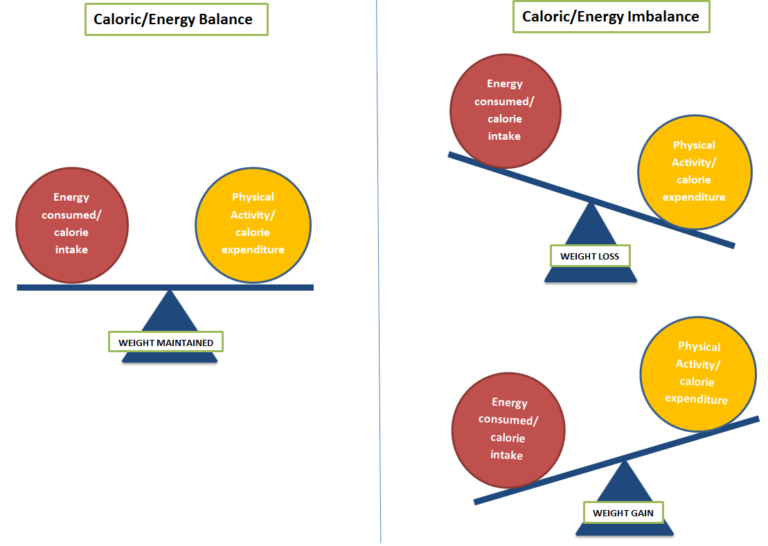 The energy balance: physical activity and food