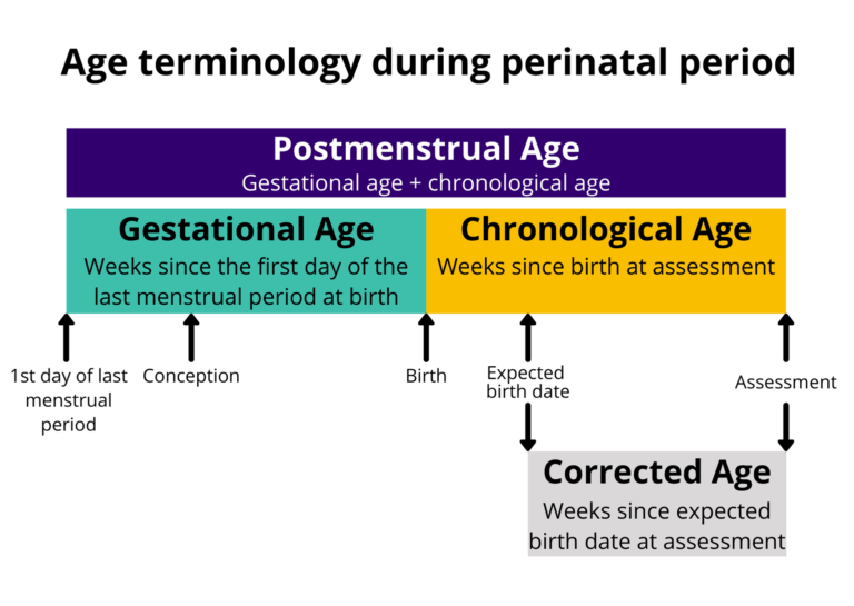 Flow chart showing how gestational age, postmenstrual age, chronological age and corrected age relate to the time line of a baby's conception and birth as described above