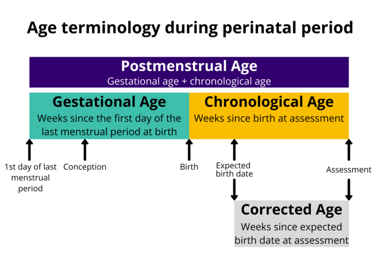 developmental-surveillance-of-childen-born-preterm