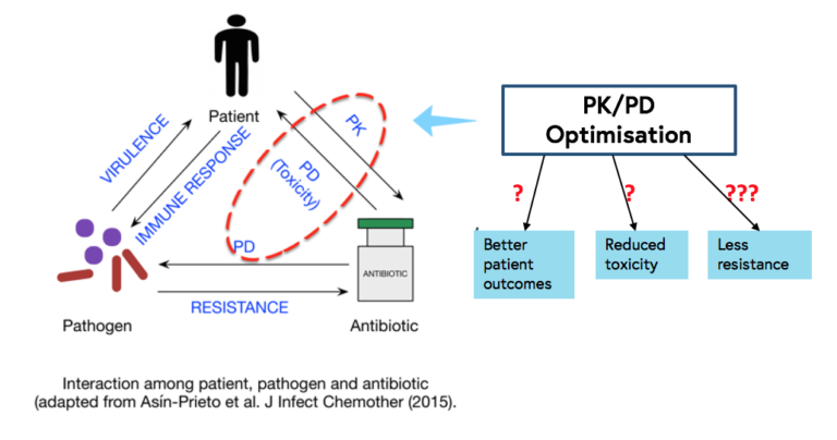 this diagram shows the impact the optimisation of PK/PD may have on the patient by ensuring the correct antibiotic and dose against the right pathogen to improve the patient's immune response to, and reduce the virulence of, the pathogen which may lead to better patient outcomes, reduced toxicity and less resistance.