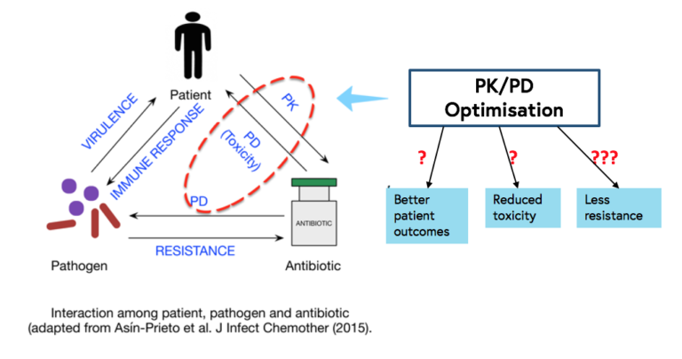 此图显示 PK/PD 优化可能对患者产生的影响，它确保使用正确的抗生素和剂量治疗正确的病原体，以提高患者对该病原体的免疫应答并降低该病原体的毒力，这可能会产生更好的患者治疗效果，降低毒性，减少 耐药性。