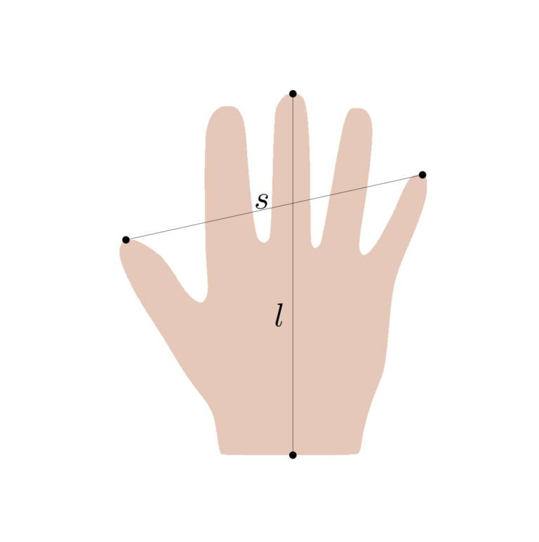 Measurements for the length and the span of a hand shape.