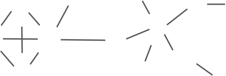 Lines which stand for network's edges