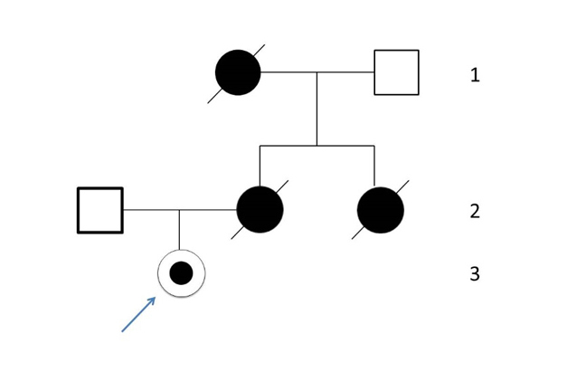 An example of Angelina Jolie's family tree in pedigree form