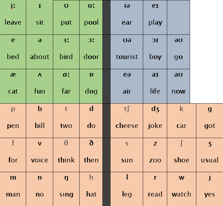 A diagram of the International Phonemic Chart