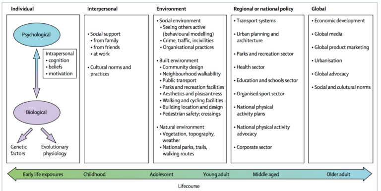 Ecological model diagram