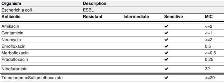 The AST results from an _E. coli_ isolate.