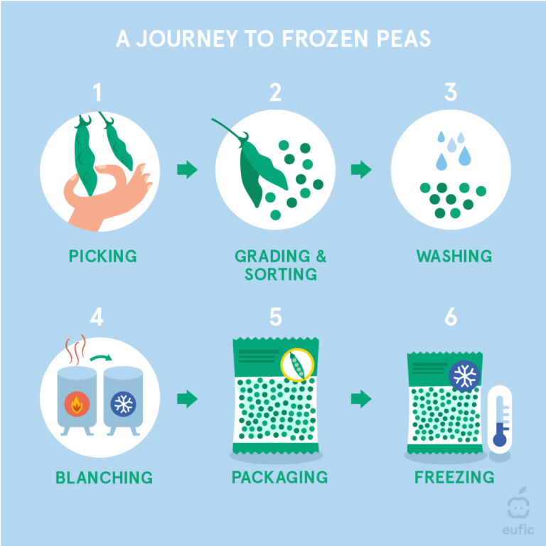 the process for packaging frozen peas consisting of 6 illustrated steps: picking (hand picking pea pod), grading and sorting (pod opening to release peas), washing (peas with water droplets), blanching (two industrial heating chambers, one with a fire on and an arrow indicating transfer to another with a snowflake on), packaging (bag of peas), freezing (bag of peas with snowflake symbol and a blue thermometer