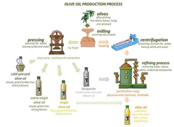 The olive oil production process showing a forked path to the final product. Both paths involve milling of the olives. One path then involves pressing, which does not require heat, to produce oils by mechanical extraction. The other path involves heating and centrifugation followed by refining (purification) by physical and chemical methods, to produce the final product.