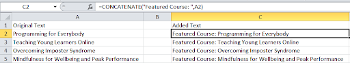 How to add text to an Excel cell with a function.