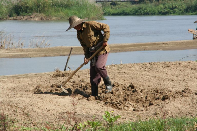 Woman wearing a hat while working in a field