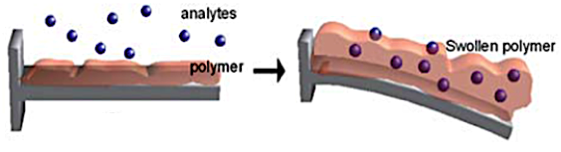 Cantilever absorption