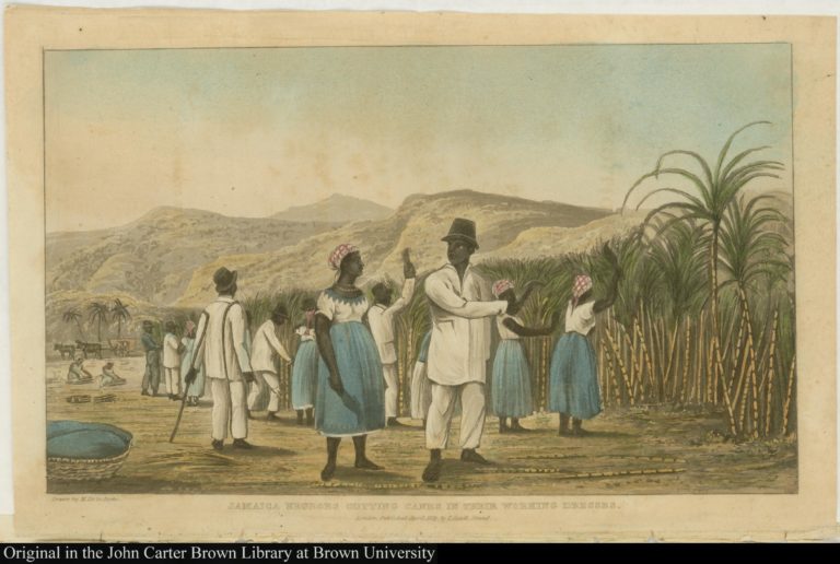 Jamaica Negroes Cutting Canes in their Working Dresses.