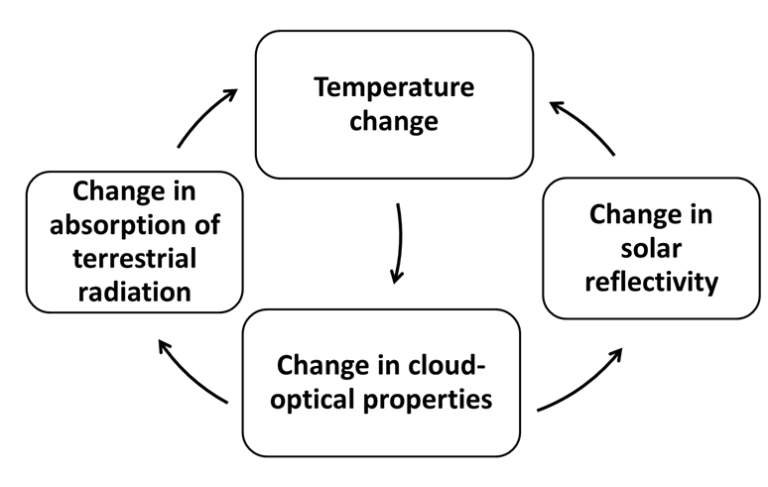 Circle diagram of cloud feedbacks.