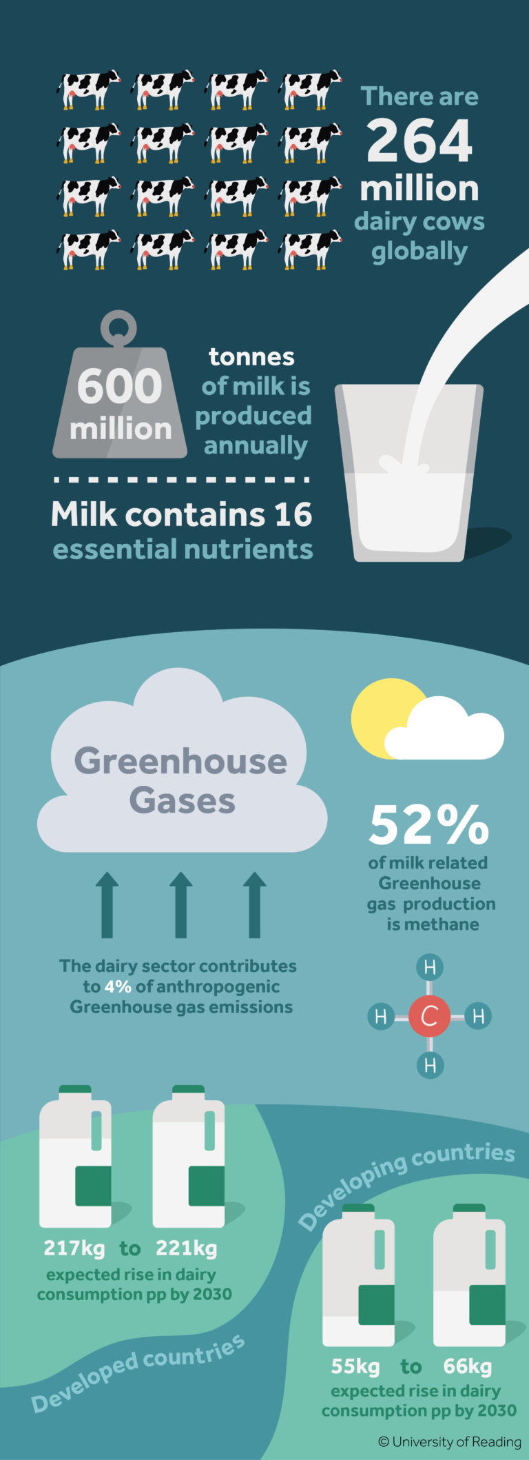 Infographic on dairy farming stating the following: There are 264 million dairy cows globally. 600 million tonnes of milk are produced annually. Milk contains 16 essential nutrients. The dairy sector contributes to 4% of anthropogenic greenhouse gas emissions. 52% of milk related greenhouse gas production is methane. 217kg to 221kg, expected rise in dairy consumption pp by 2030 in developed countries. 55kg to 66kg, expected rise in dairy consumption pp by 2030 in developing countries.
