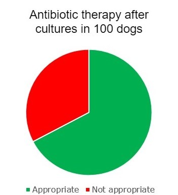 A pie chart showing which proportion of antibiotic therapies in dogs were appropriately de-escalated.