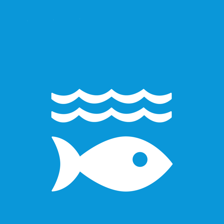 Icon of a fish under water