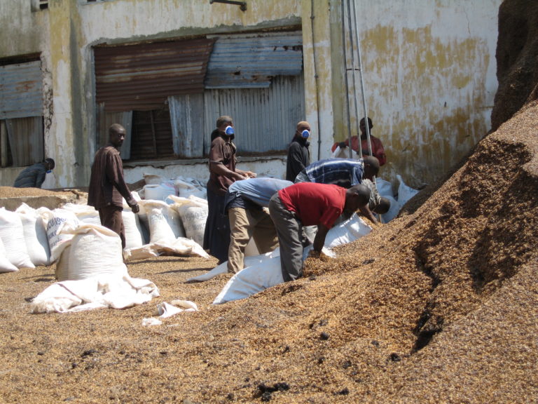 Workers putting “husk material” -waste from coffee production- into bags2010 July Tanzania 032.jpg