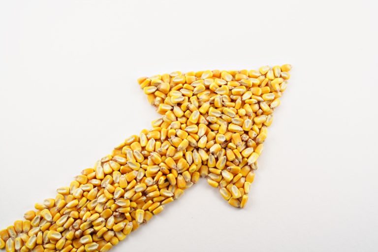An arrow filled with corn, pointing to the top right of the image