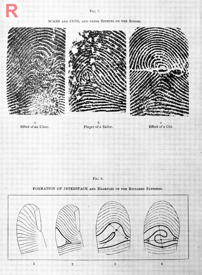 A page of diagrams of finger prints and fingers