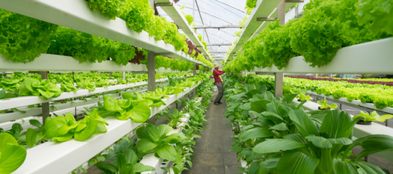 Vertical farming