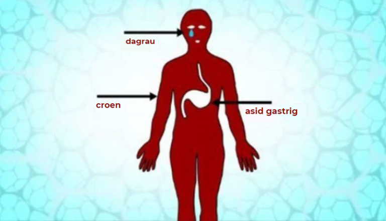 Cartoon image of body with tears, skin, and gastric acid labelled to show the primary defences in the body