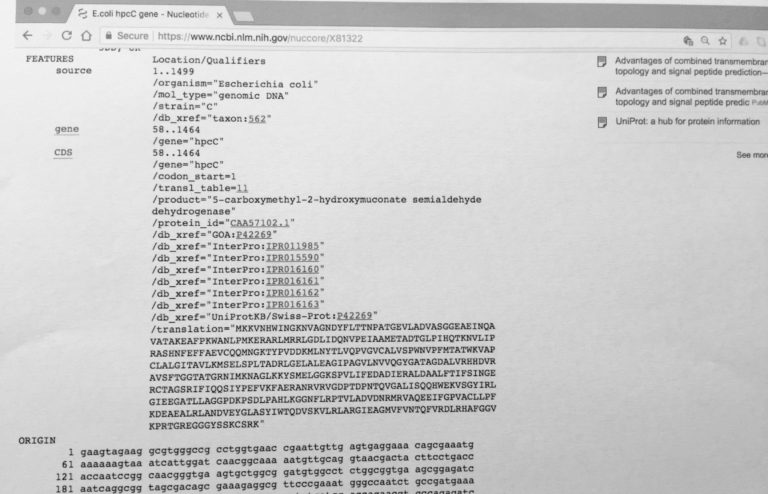 Genbank entry denoted by ORIGIN - the actual sequence