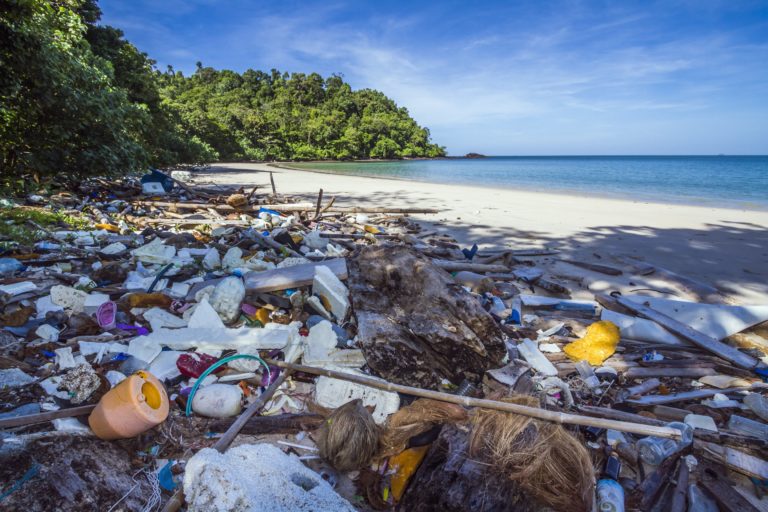 Plastics in the oceans