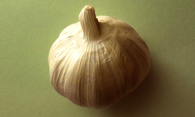 Garlic - Stink of creativity