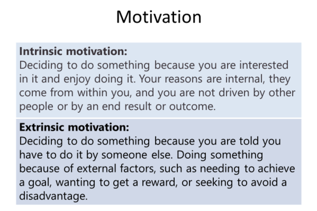 extrinsic vs intrinsic motivation nursing